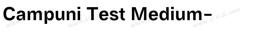 Campuni Test Medium字体转换
